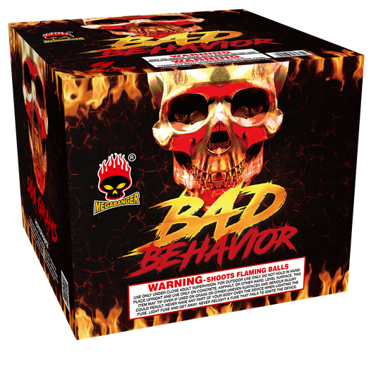 Bad Behavior
