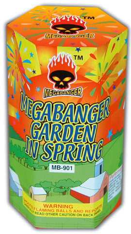 Garden In Spring