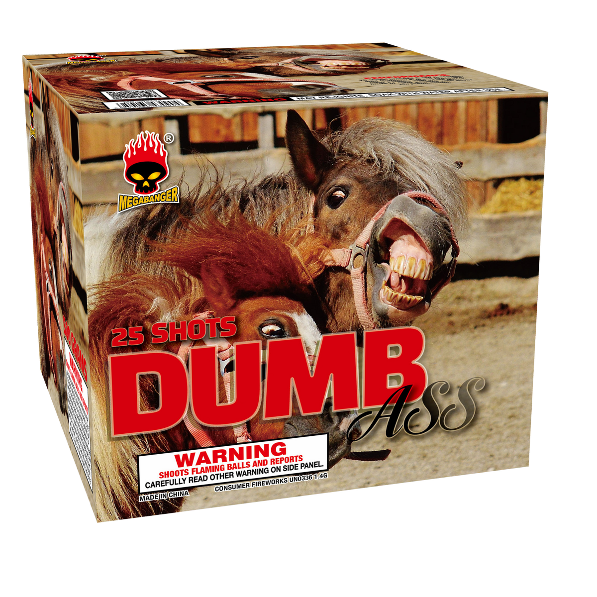 Dumb Ass, 25 Shots