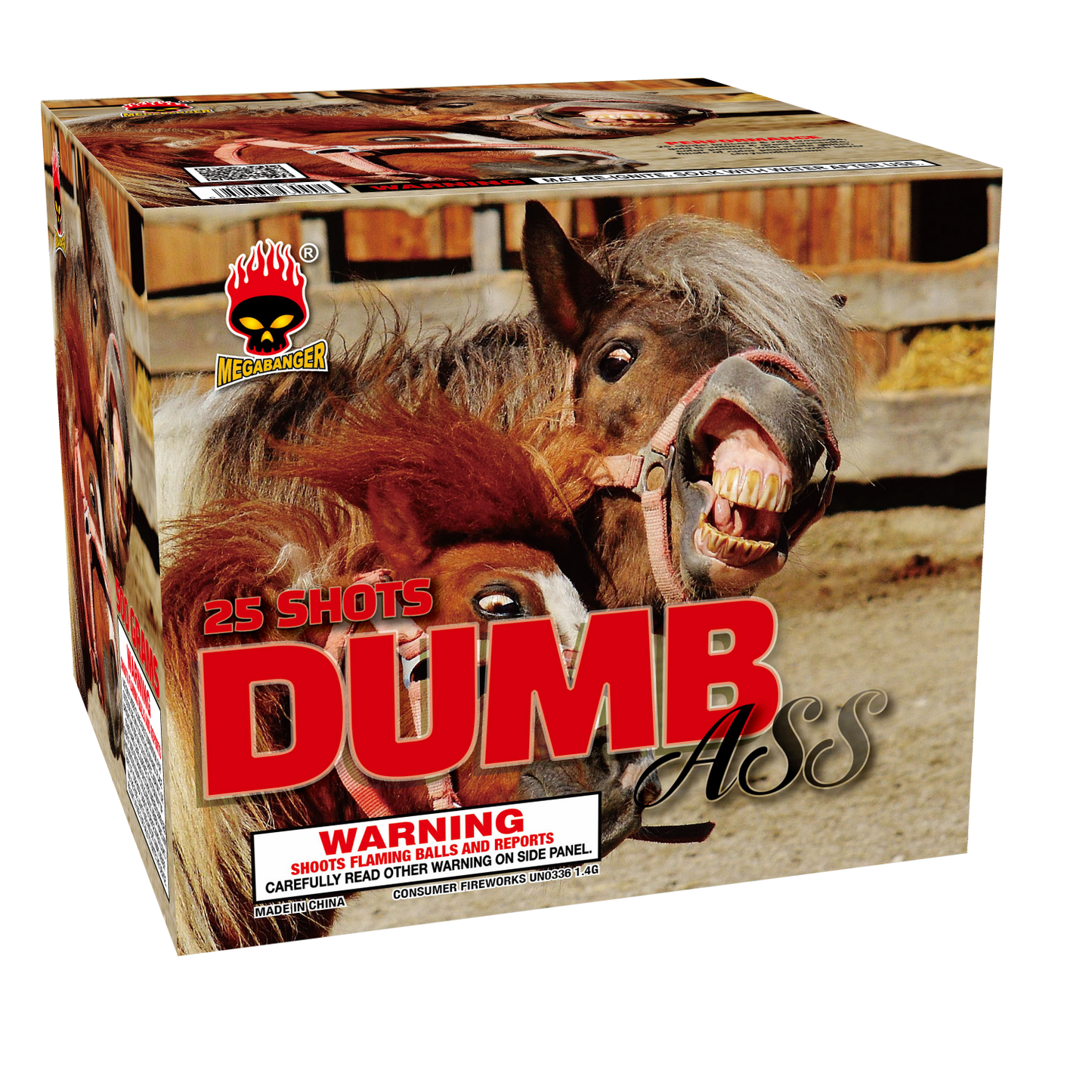 Dumb Ass, 25 Shots