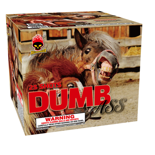 Dumb Ass, 25 Shots