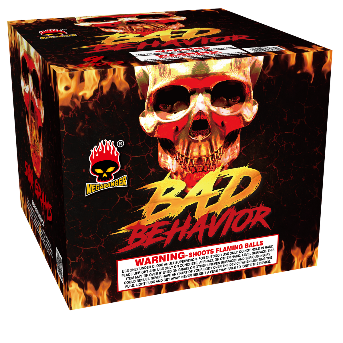 Bad Behavior